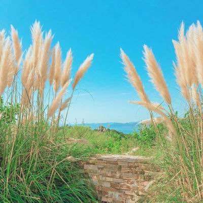 姚洋：AI泡沫破裂是迟早的事，我们要更多关注短期问题