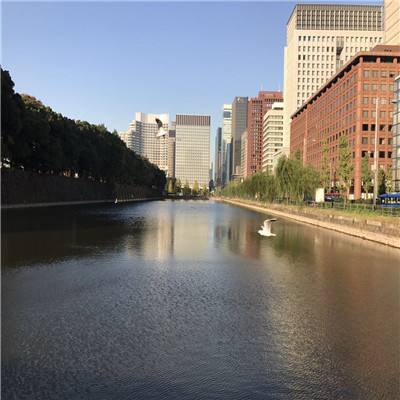 工业有色ETF鹏华（159162）涨3.20%，成交额2181.02万元